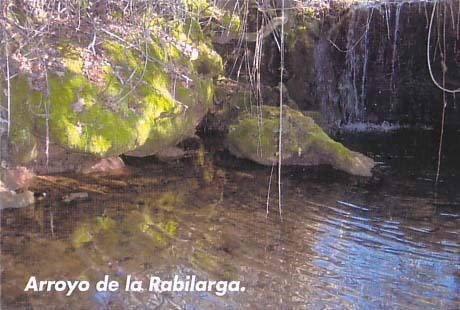 Arroyo Rabilarga