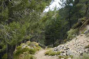 Cerro Huenes