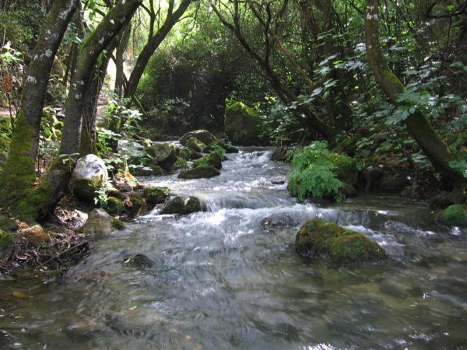Río Majaceite