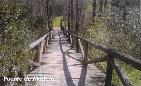 Puente de Madera