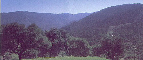guadalmedina