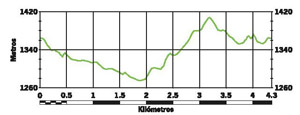 perfil de ruta