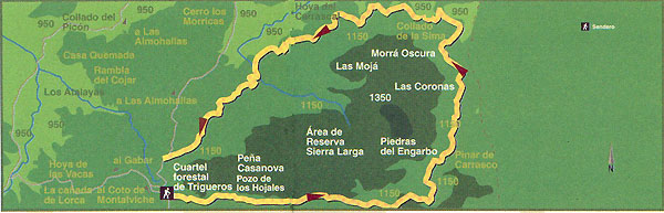 mapa de ruta