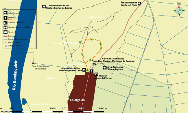 plano de ruta