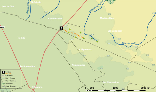mapa de ruta