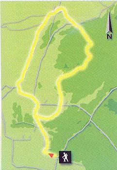 Plano de ruta