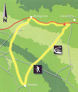 Mapa de ruta