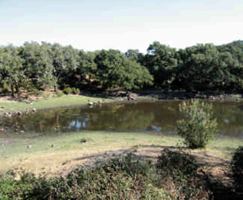 laguna del picacho