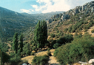 cerro del pajarillo