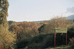 corredor verde