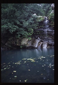 Garganta del capitan