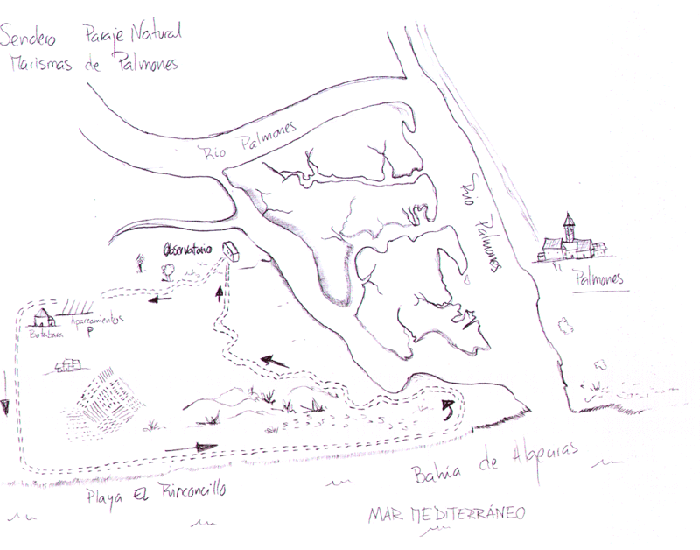 Mapa de ruta