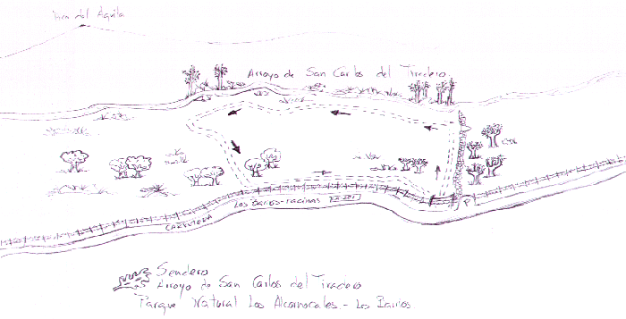 Mapa de ruta