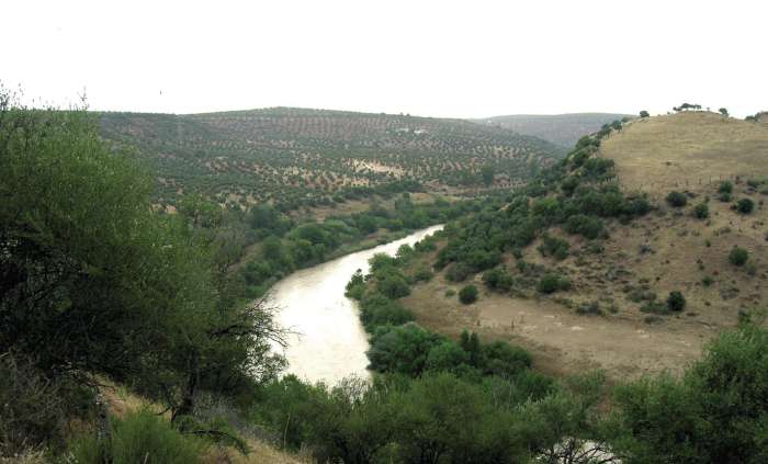 Laderas de Vicario