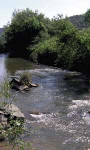 Rio Guadalquivir