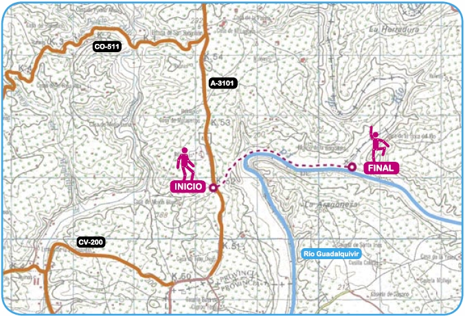 Mapa de ruta