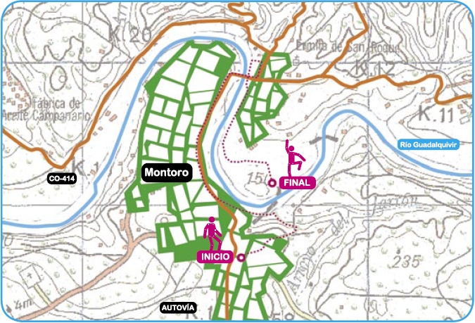 Mapa de ruta