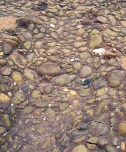 Conglomerados