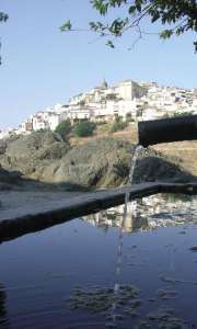 Montoro