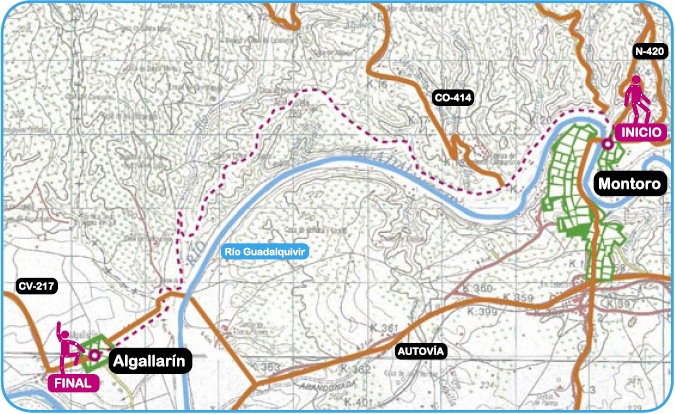 Mapa de Ruta
