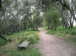 Area recreativa Aceñas del Campo