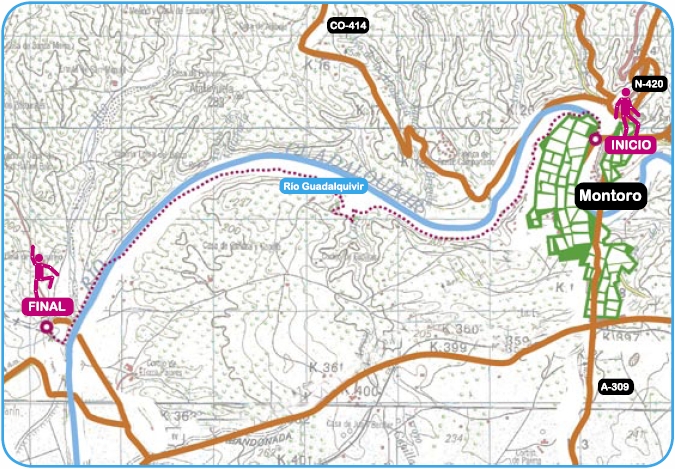 Mapa de ruta