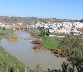 Montoro