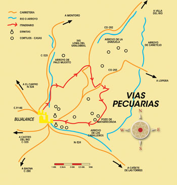 Mapa de ruta
