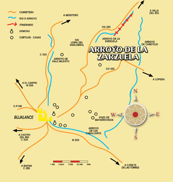 Mapa de ruta
