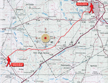 Mapa de ruta
