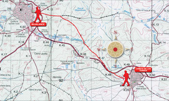 Mapa de ruta