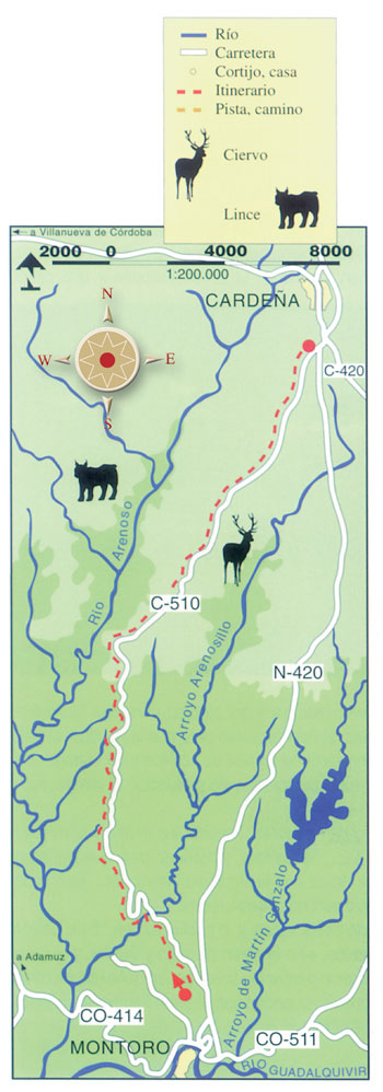 Mapa de ruta