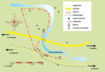 Mapa de ruta