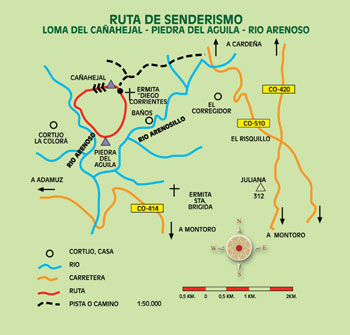 Mapa de ruta