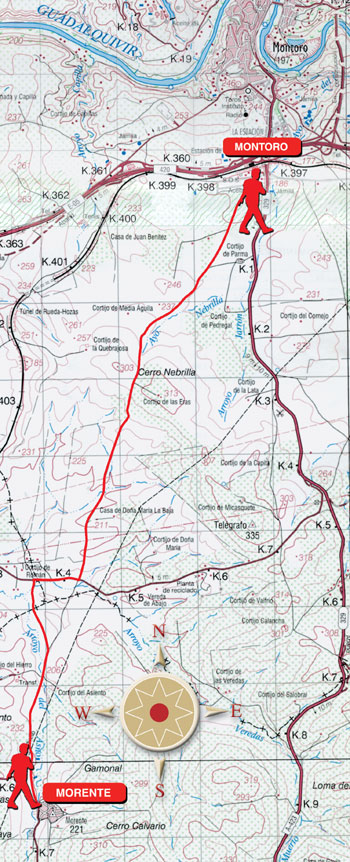 Mapa de ruta