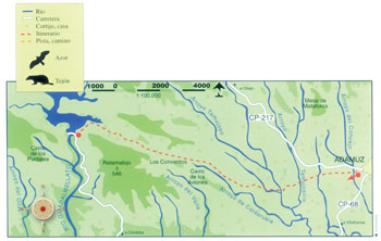 Mapa de ruta