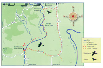 Mapa de ruta