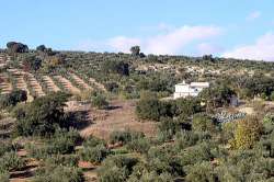 Paisaje
