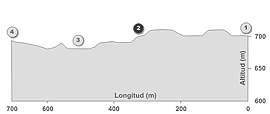 Perfil de la ruta