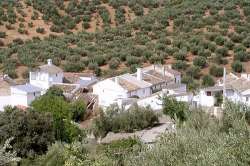 Casas