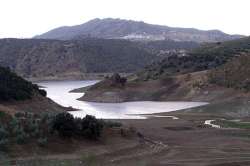 Pantano