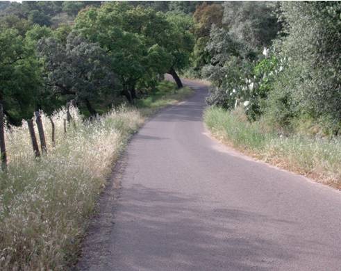 Carril de San Bartolomé