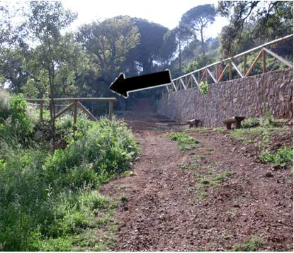 Sendero El Castaño