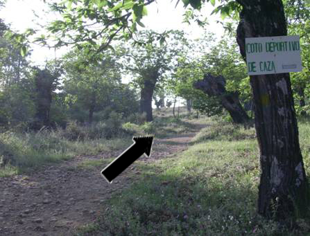Cruce de caminos