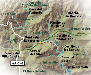 Mapa de ruta