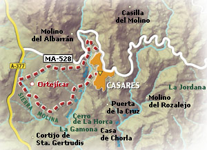 Mapa de ruta