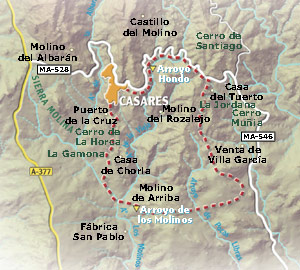 Mapa de ruta