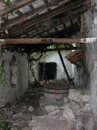 Molino