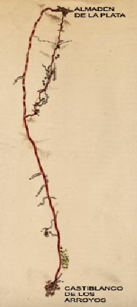 Mapa de ruta