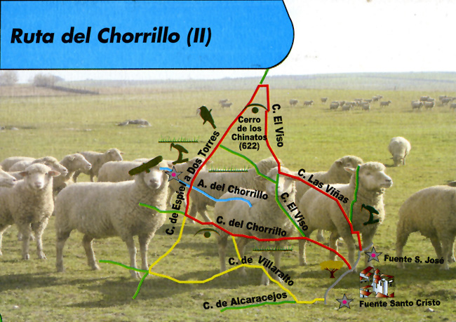 Plano de ruta